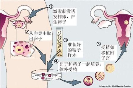 蘇懷安